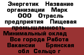 Энергетик › Название организации ­ Марк 4, ООО › Отрасль предприятия ­ Пищевая промышленность › Минимальный оклад ­ 1 - Все города Работа » Вакансии   . Брянская обл.,Сельцо г.